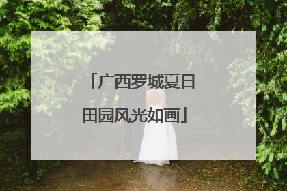 广西罗城夏日田园风光如画