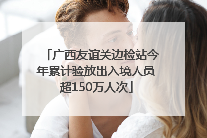 广西友谊关边检站今年累计验放出入境人员超150万人次