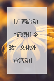 广西启动“记得住乡愁”文化外宣活动
