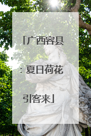 广西容县：夏日荷花引客来
