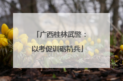 广西桂林武警：以考促训砺精兵