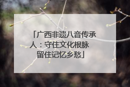 广西非遗八音传承人：守住文化根脉 留住记忆乡愁