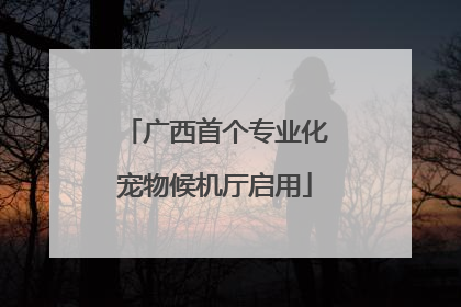 广西首个专业化宠物候机厅启用