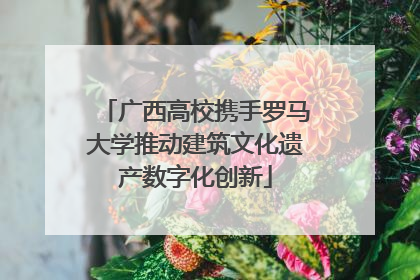 广西高校携手罗马大学推动建筑文化遗产数字化创新