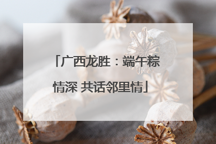 广西龙胜：端午粽情深 共话邻里情