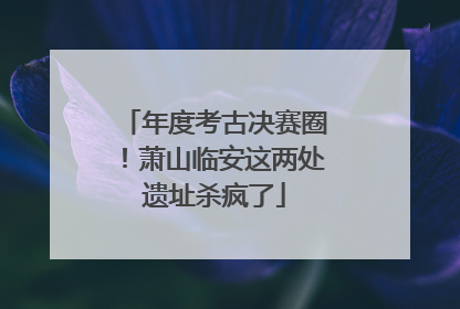 年度考古决赛圈！萧山临安这两处遗址杀疯了