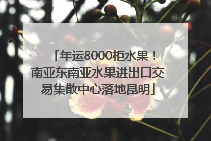 年运8000柜水果！南亚东南亚水果进出口交易集散中心落地昆明