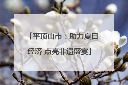 平顶山市：助力夏日经济 点亮非遗盛宴