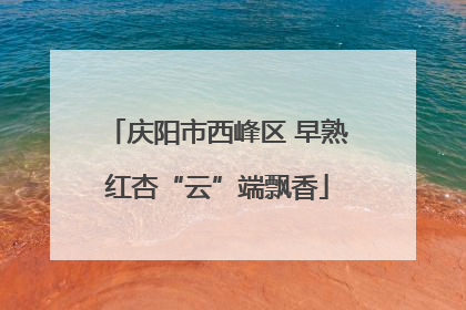 庆阳市西峰区 早熟红杏“云”端飘香