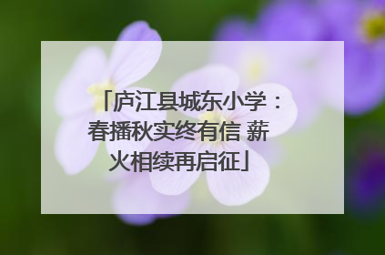 庐江县城东小学：春播秋实终有信 薪火相续再启征