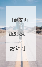 延安再添5只朱鹮宝宝