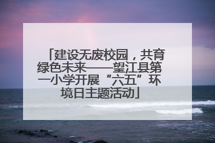 建设无废校园，共育绿色未来——望江县第一小学开展“六五”环境日主题活动