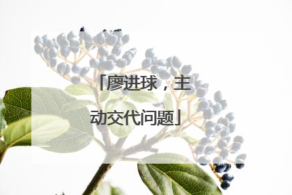 廖进球，主动交代问题