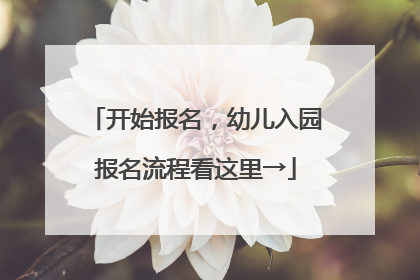 开始报名，幼儿入园报名流程看这里→