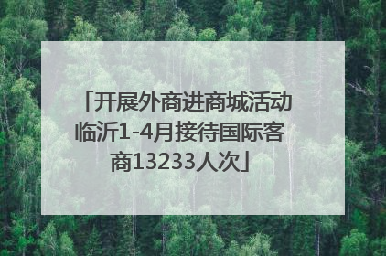 开展外商进商城活动 临沂1-4月接待国际客商13233人次
