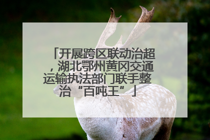 开展跨区联动治超，湖北鄂州黄冈交通运输执法部门联手整治“百吨王”