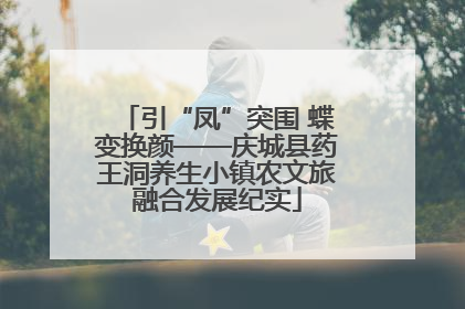 引“凤”突围 蝶变换颜——庆城县药王洞养生小镇农文旅融合发展纪实