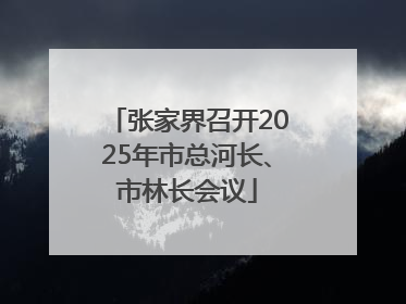 张家界召开2025年市总河长、市林长会议