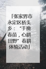 张家界市永定区桥头乡：“手挽春苗，心耕田野”春耕体验活动