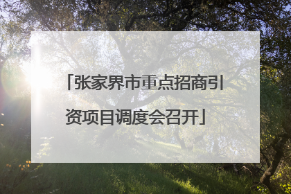 张家界市重点招商引资项目调度会召开