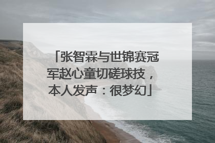 张智霖与世锦赛冠军赵心童切磋球技，本人发声：很梦幻