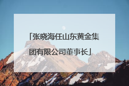 张晓海任山东黄金集团有限公司董事长