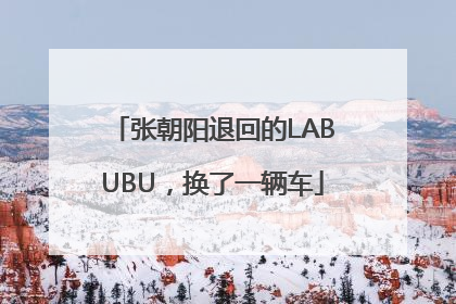 张朝阳退回的LABUBU，换了一辆车