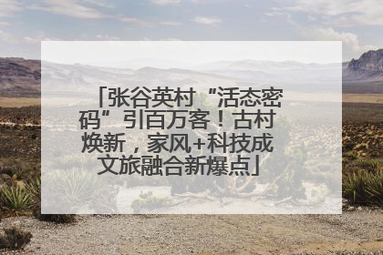 张谷英村“活态密码”引百万客！古村焕新，家风+科技成文旅融合新爆点