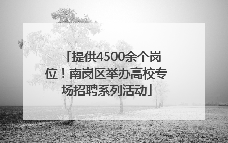 提供4500余个岗位！南岗区举办高校专场招聘系列活动