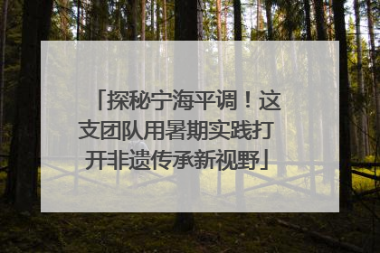 探秘宁海平调！这支团队用暑期实践打开非遗传承新视野