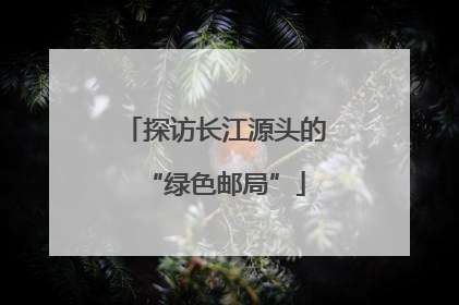 探访长江源头的“绿色邮局”
