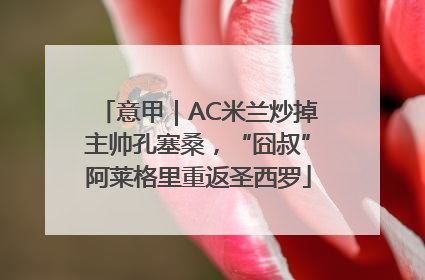 意甲｜AC米兰炒掉主帅孔塞桑，“囧叔”阿莱格里重返圣西罗