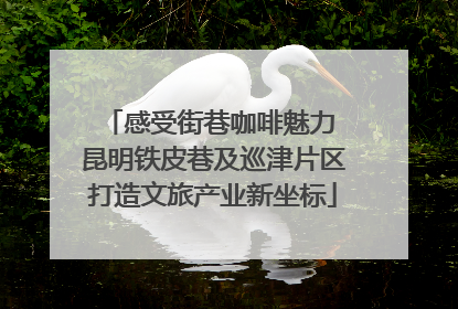 感受街巷咖啡魅力 昆明铁皮巷及巡津片区打造文旅产业新坐标