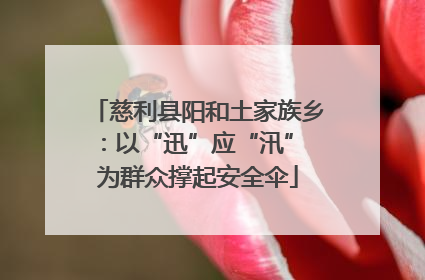 慈利县阳和土家族乡：以“迅”应“汛” 为群众撑起安全伞
