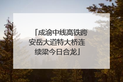 成渝中线高铁跨安岳大道特大桥连续梁今日合龙