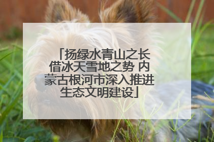 扬绿水青山之长 借冰天雪地之势 内蒙古根河市深入推进生态文明建设