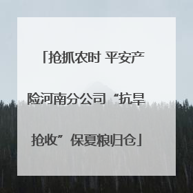 抢抓农时 平安产险河南分公司“抗旱抢收”保夏粮归仓