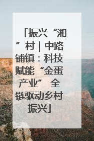 振兴“湘”村｜中路铺镇：科技赋能“金蛋产业” 全链驱动乡村振兴