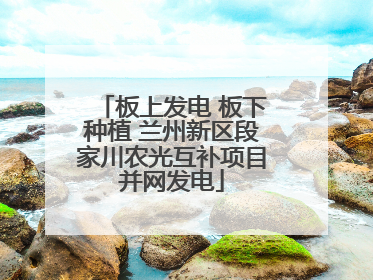 板上发电 板下种植 兰州新区段家川农光互补项目并网发电