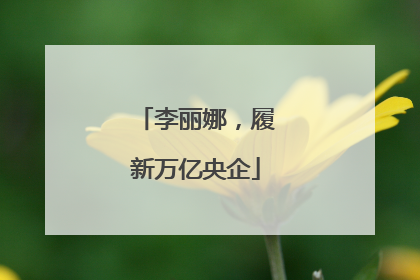 李丽娜，履新万亿央企