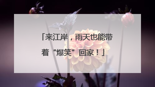 来江岸，雨天也能带着“爆笑”回家！