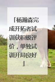 杨瀚森完成开拓者试训获积极评价，单独试训开局良好
