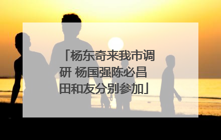 杨东奇来我市调研 杨国强陈必昌田和友分别参加