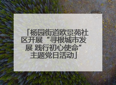 杨园街道欧景苑社区开展“寻根城市发展 践行初心使命”主题党日活动