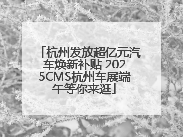 杭州发放超亿元汽车焕新补贴 2025CMS杭州车展端午等你来逛