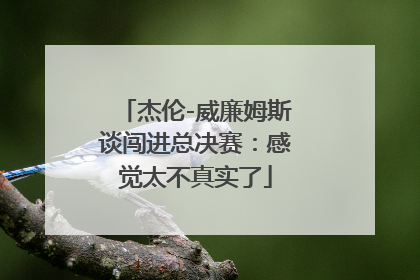 杰伦-威廉姆斯谈闯进总决赛：感觉太不真实了