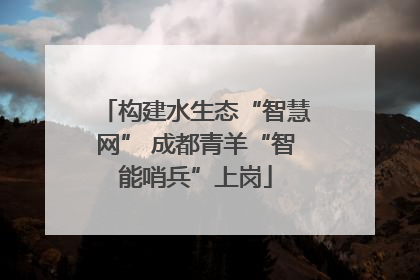 构建水生态“智慧网” 成都青羊“智能哨兵”上岗