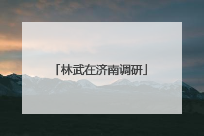 林武在济南调研