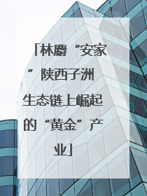 林麝“安家”陕西子洲 生态链上崛起的“黄金”产业