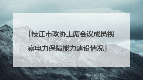 枝江市政协主席会议成员视察电力保障能力建设情况